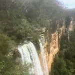 FItzroy Falls 2